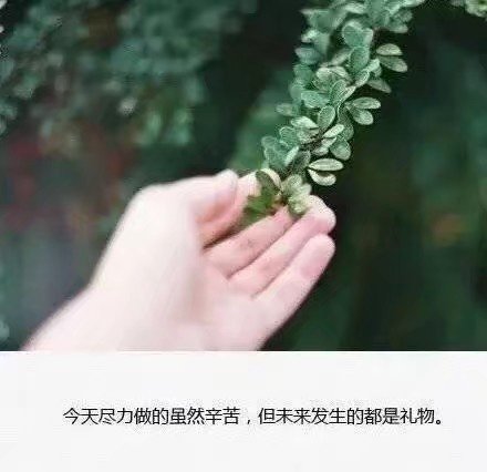 伤感图片带字 跟着风走 把孤独当自由