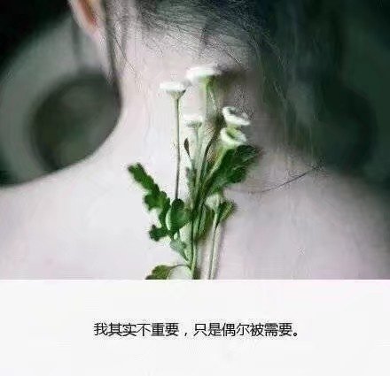 伤感图片带字 跟着风走 把孤独当自由