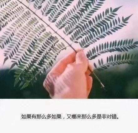 伤感图片带字 跟着风走 把孤独当自由