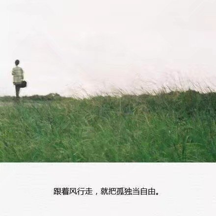 伤感图片带字 跟着风走 把孤独当自由