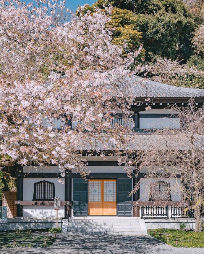 日本旅行晴空万里的日本镰仓图片