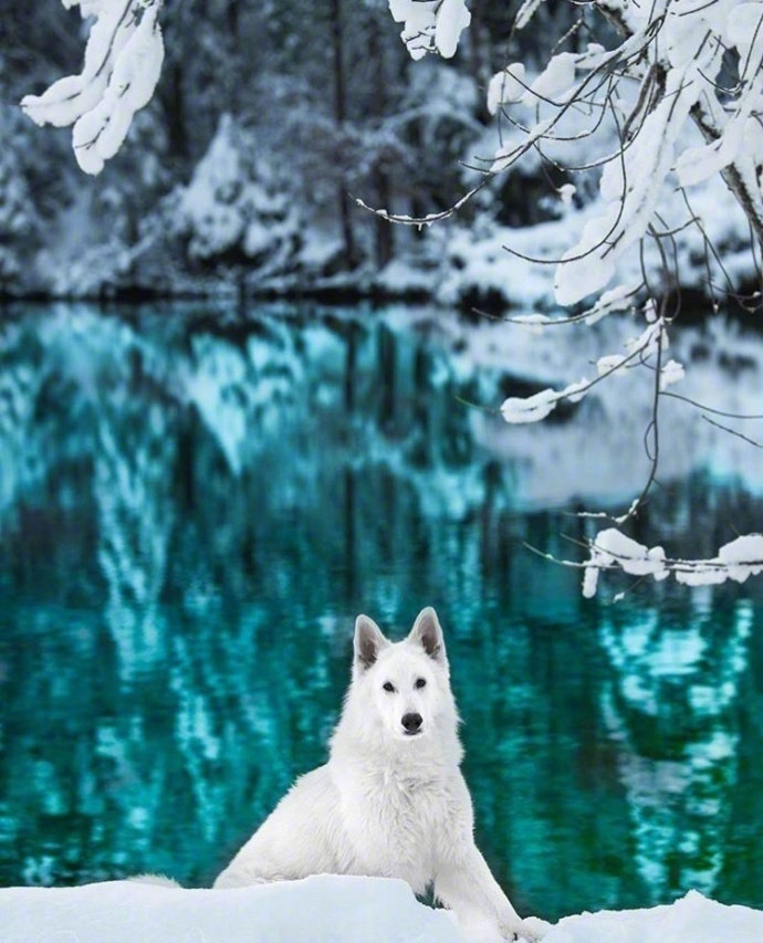 瑞士风景图片蓝湖美景图片