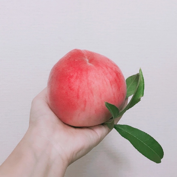 夏天到了,水蜜桃快成熟了