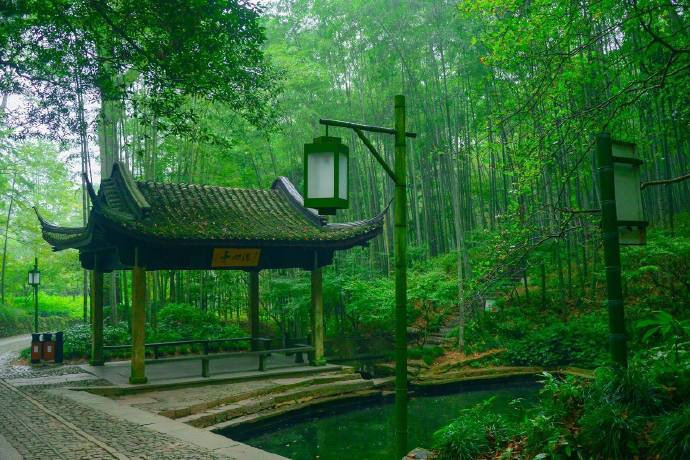 杭州云栖竹径绿色风景图片