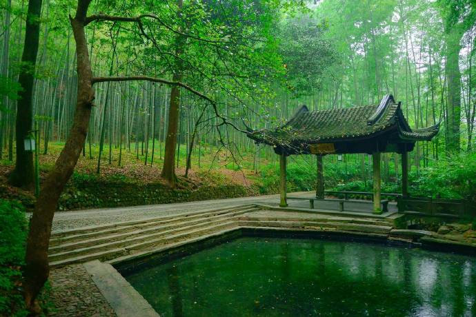 杭州云栖竹径绿色风景图片
