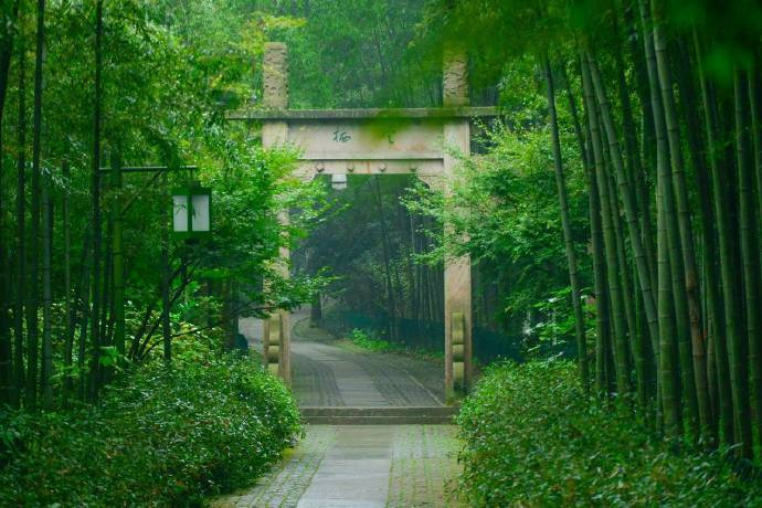 杭州云栖竹径绿色风景图片
