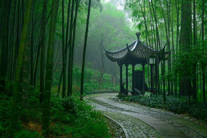 杭州云栖竹径绿色风景图片