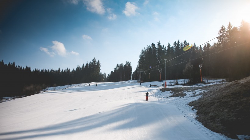 树林里下雪后自然风景图片
