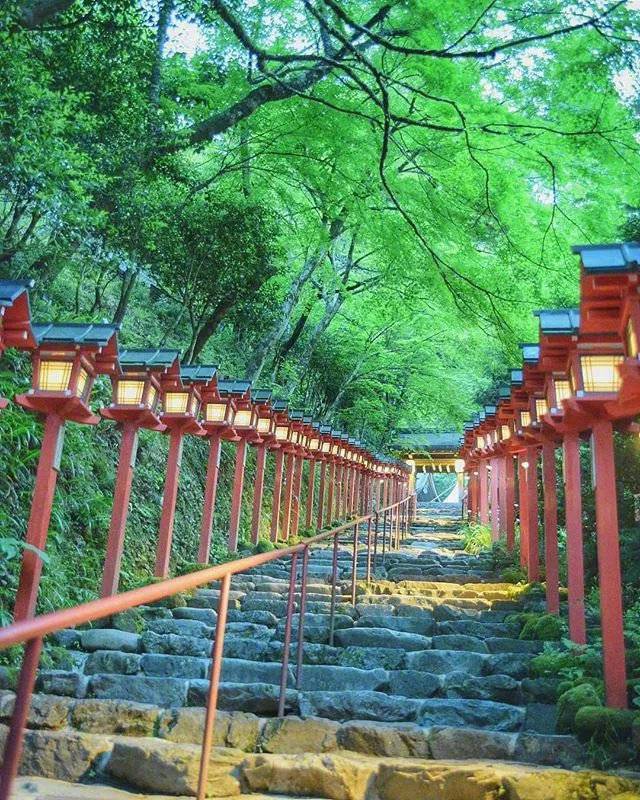夏天的日本京都梦幻花园大自然美景