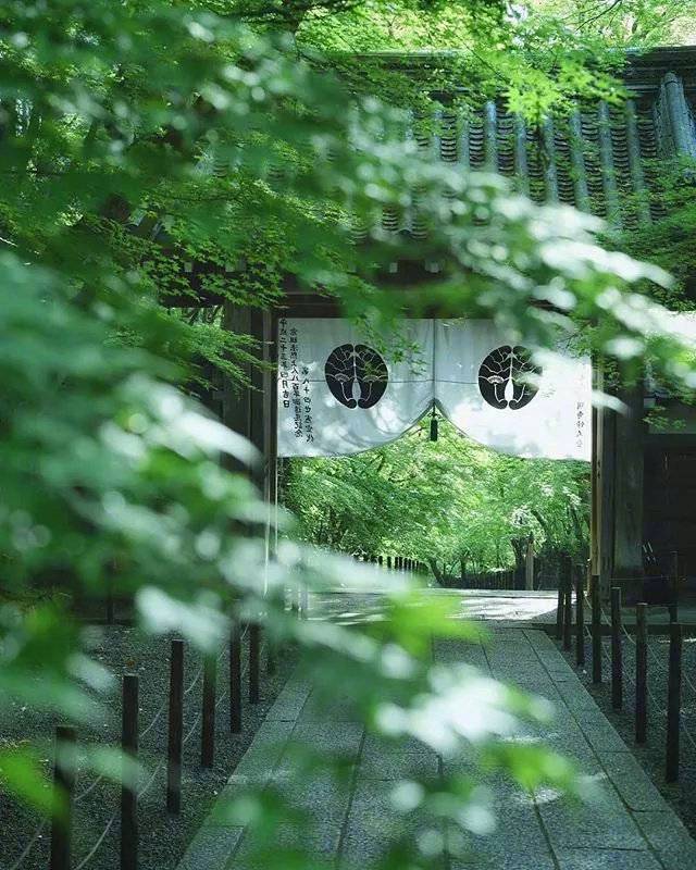 夏天的日本京都梦幻花园大自然美景
