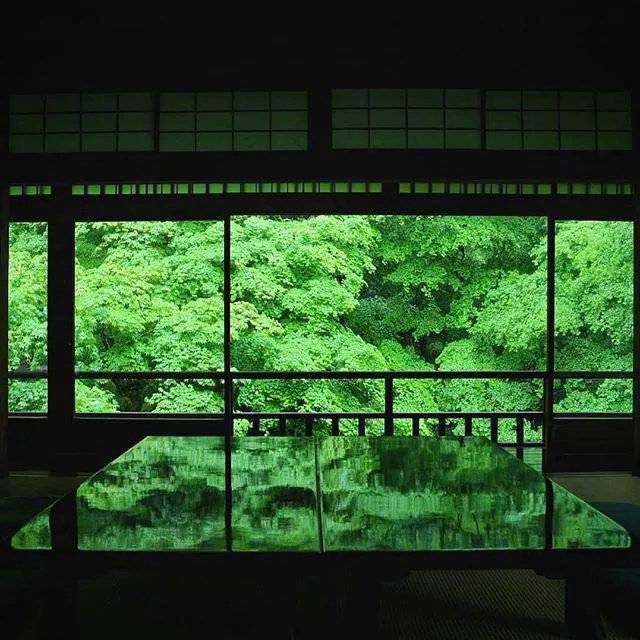 夏天的日本京都梦幻花园大自然美景