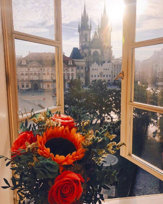 Prague Castle捷克布拉格唯美鲜花图片