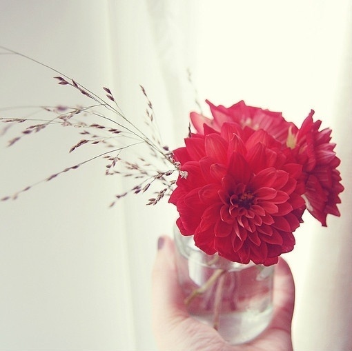 早晨唯美鲜花花束壁纸