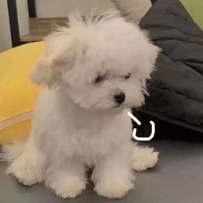 可爱的网名大全2022最新版