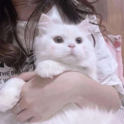 表示低调的网名