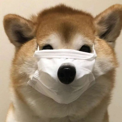 可爱的卡通头像