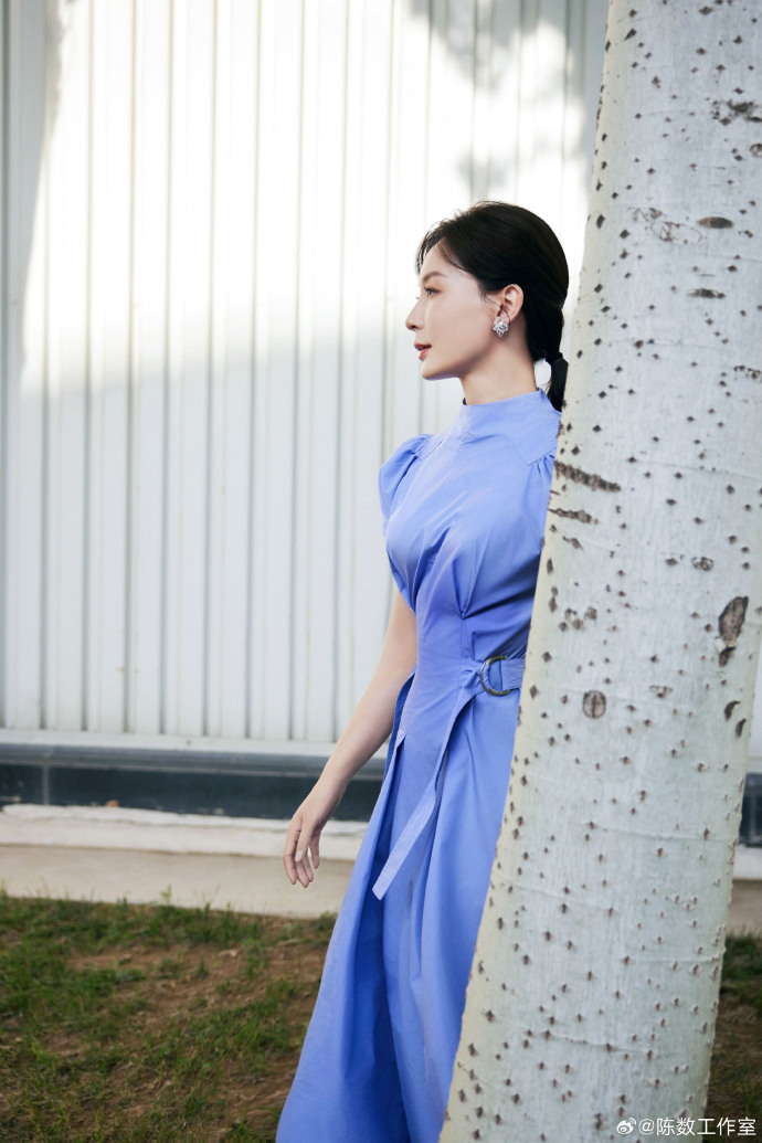 知性美女演员陈数蓝色连衣裙图片