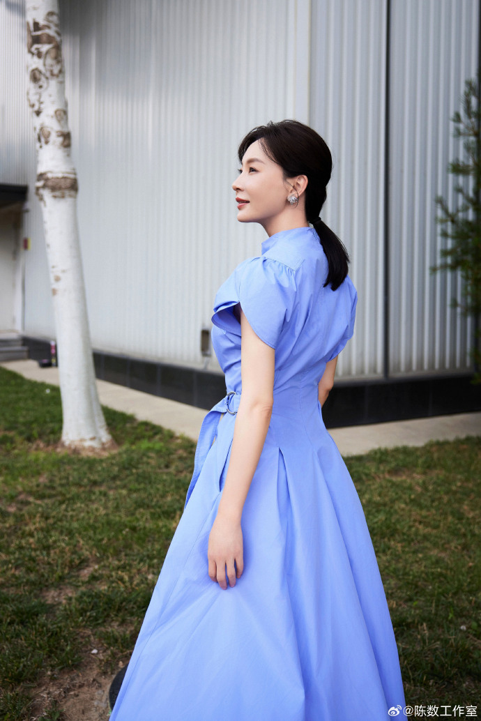 知性美女演员陈数蓝色连衣裙图片